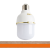 AKT 15 Watt LED Bulb Energy Saving