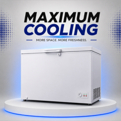 Chest Freezers