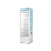 Hisense 367 Liters Showcase Display Chiller FL51FC Available Online at Tradezone.ng