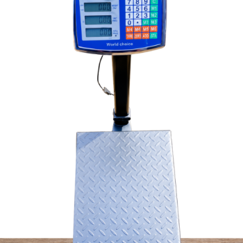 World choice 300kg Electronic Digital Scale