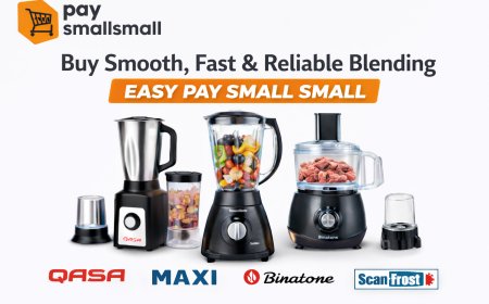 Buy Affordable Blenders for Everyday Kitchen Use | Paysmallsmall.ng
