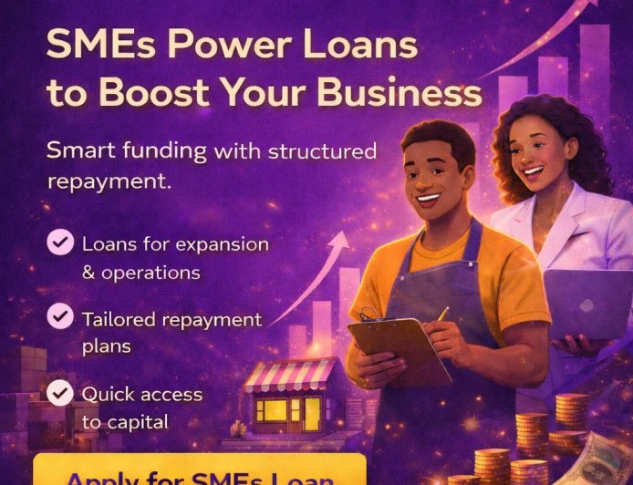 SMEs Loans Designed for Sustainable Growth | Softcredit.ng